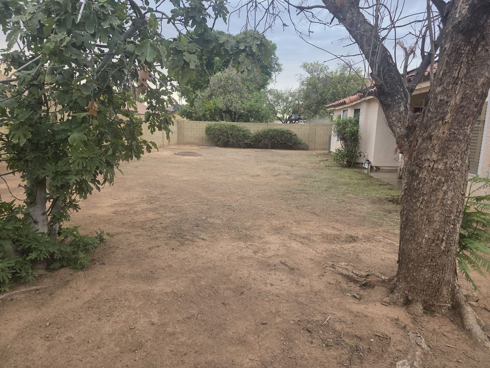 3413 E Hampton Ave, Mesa, foto 29